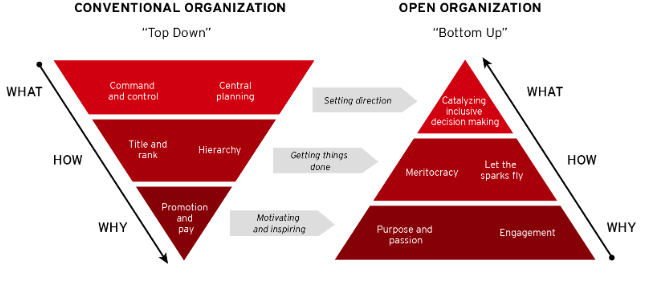 open org management model